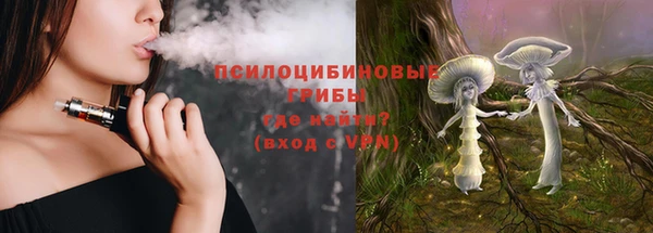 ГАЛЛЮЦИНОГЕННЫЕ ГРИБЫ Новозыбков