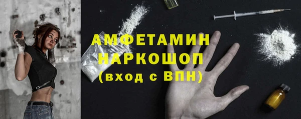 ГАЛЛЮЦИНОГЕННЫЕ ГРИБЫ Новозыбков