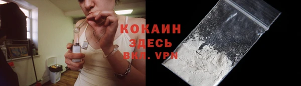 ГАЛЛЮЦИНОГЕННЫЕ ГРИБЫ Новозыбков