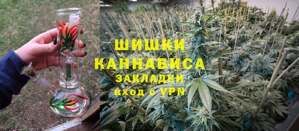 ГАЛЛЮЦИНОГЕННЫЕ ГРИБЫ Новозыбков