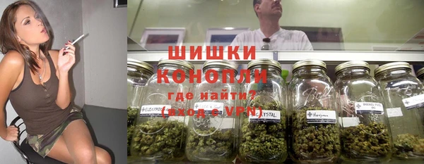 ГАЛЛЮЦИНОГЕННЫЕ ГРИБЫ Новозыбков