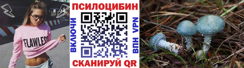 цены наркотик  Торопец  мориарти какой сайт  Псилоцибиновые грибы Psilocybe  ОМГ ОМГ ONION 